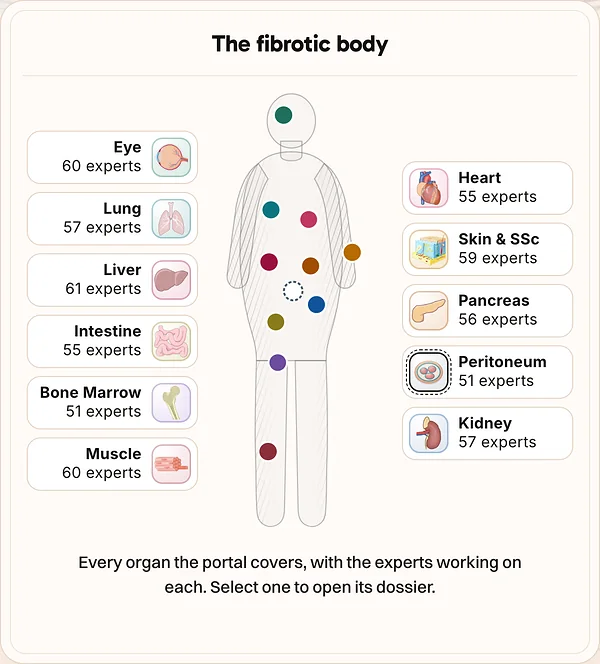 The fibrotic body: a map of the organs fibrosis scars, with the experts working on each.